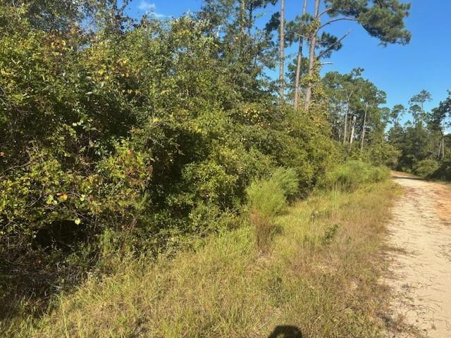 0 Mulberry Drive, Marianna, FL 32448, Marianna