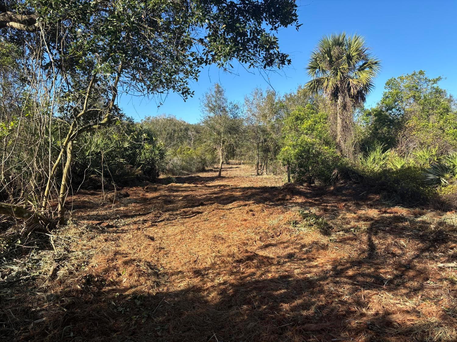 0 NW 296th Street, Okeechobee, FL 34972, Okeechobee