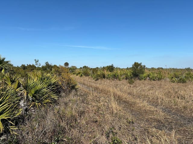 0 NW 316th Street, Okeechobee, FL 34972