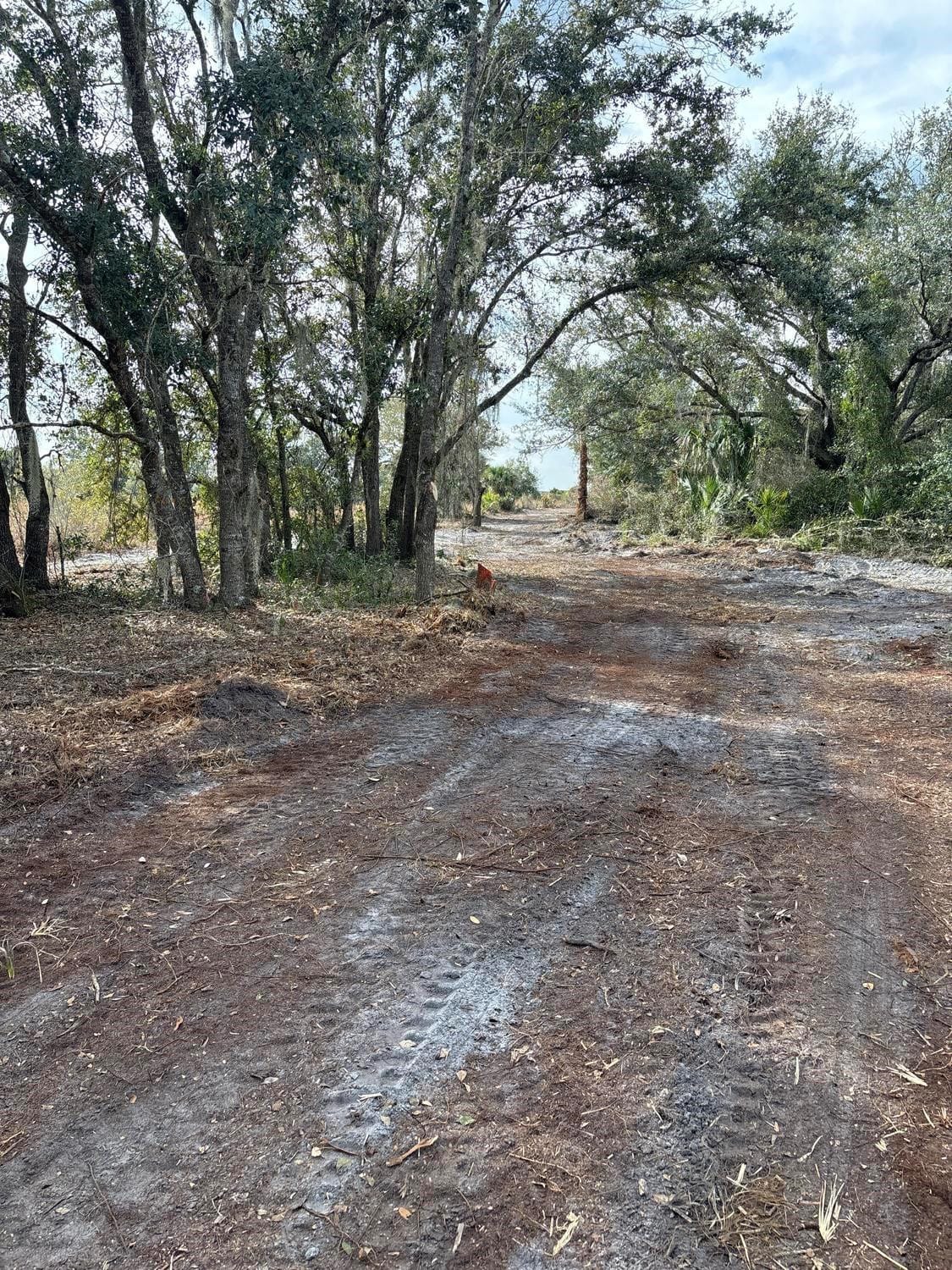 0 NW 296th, Okeechobee, FL 34972 photo 4