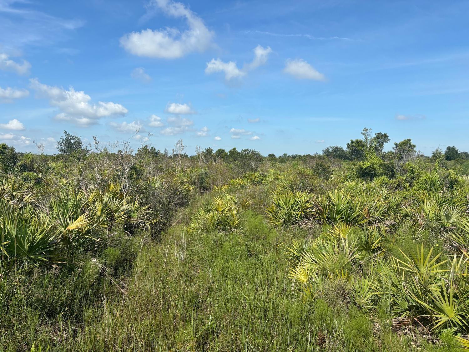 0 NW 312th Street, Okeechobee, FL 34972, Okeechobee