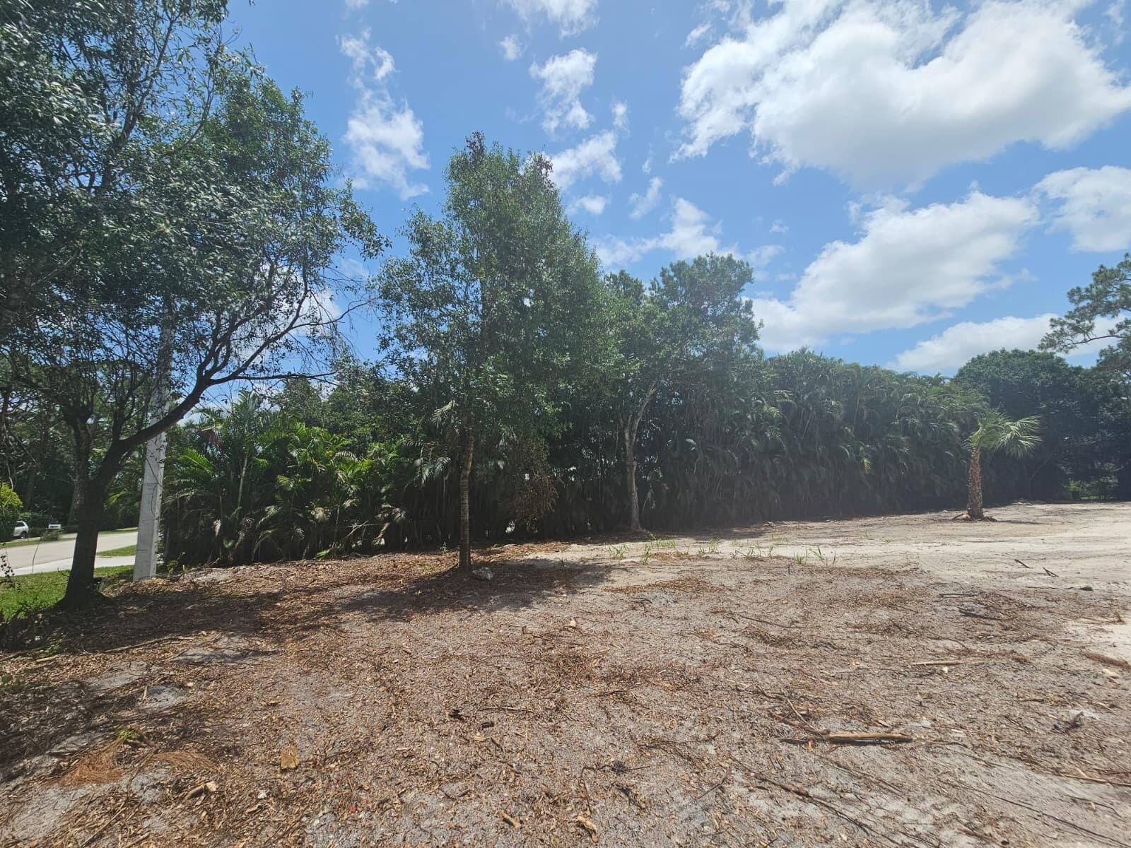 17854 Tangerine Boulevard — photo 3