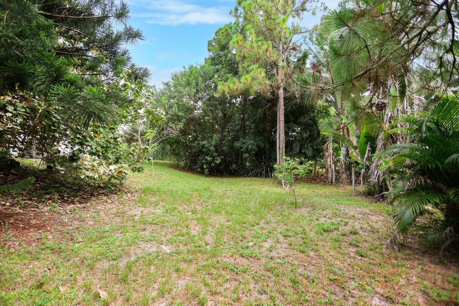 18055 W Sycamore Drive — photo 5