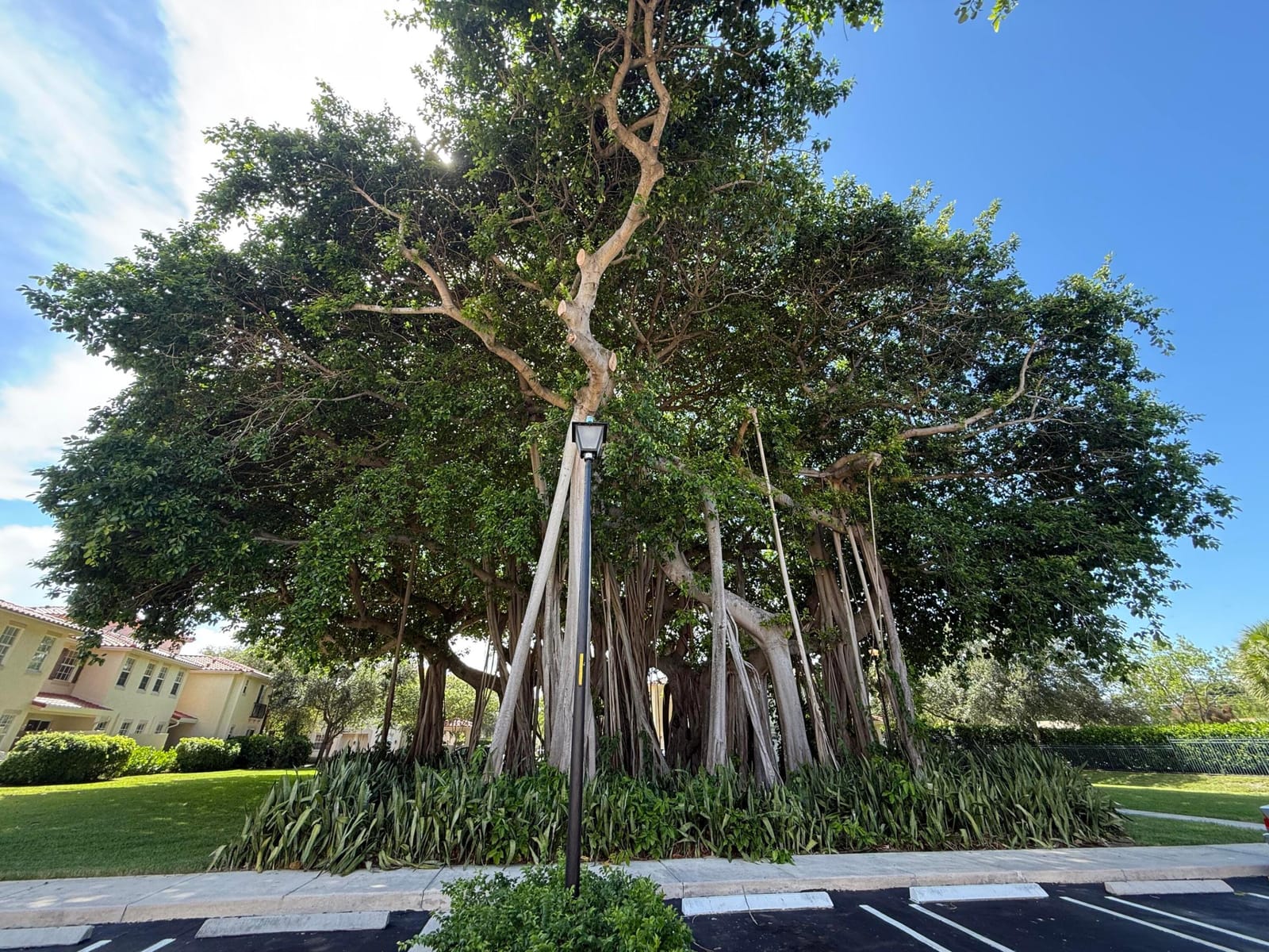 1015 Ventnor Avenue 3d, Delray Beach, FL 33444 photo 28