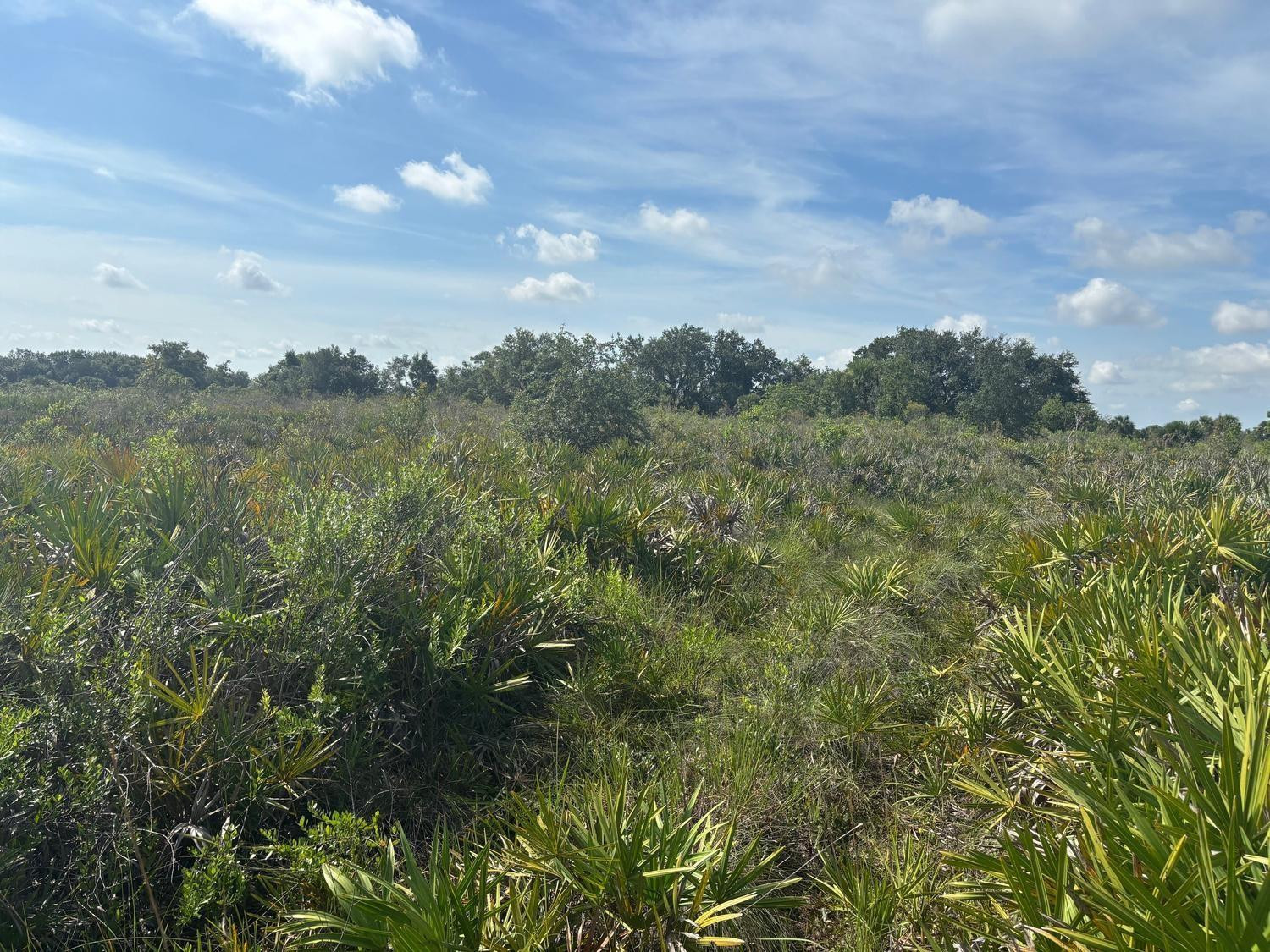 0 NW 310th Street, Okeechobee, FL 34972, Okeechobee