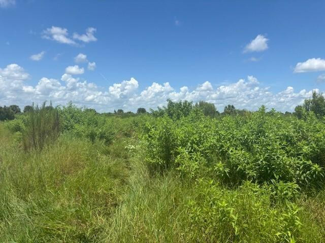 0 NW 318th Street, Okeechobee, FL 34972, Okeechobee