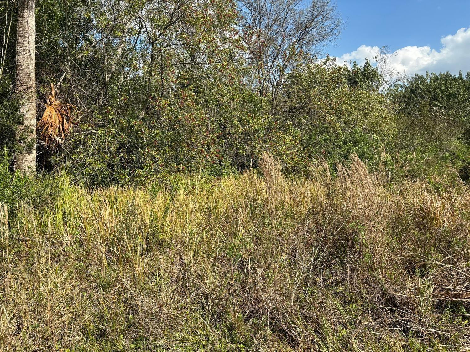 3584 US Highway 98, Okeechobee, FL 34972, Okeechobee