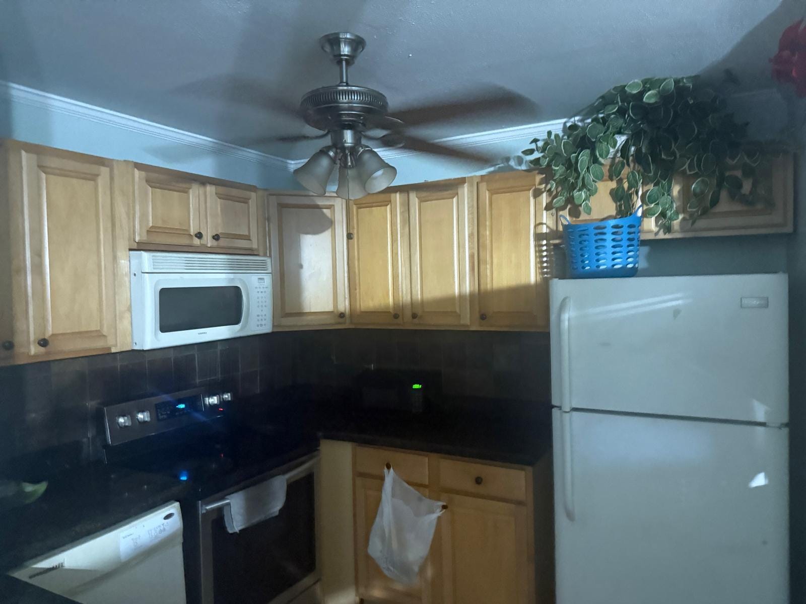 8601 Pluto Terrace, West Palm Beach, FL 33403 photo 2
