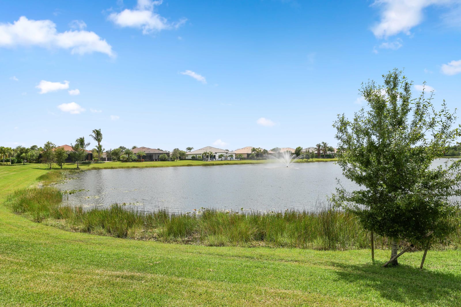 9191 Balsamo Drive — photo 9