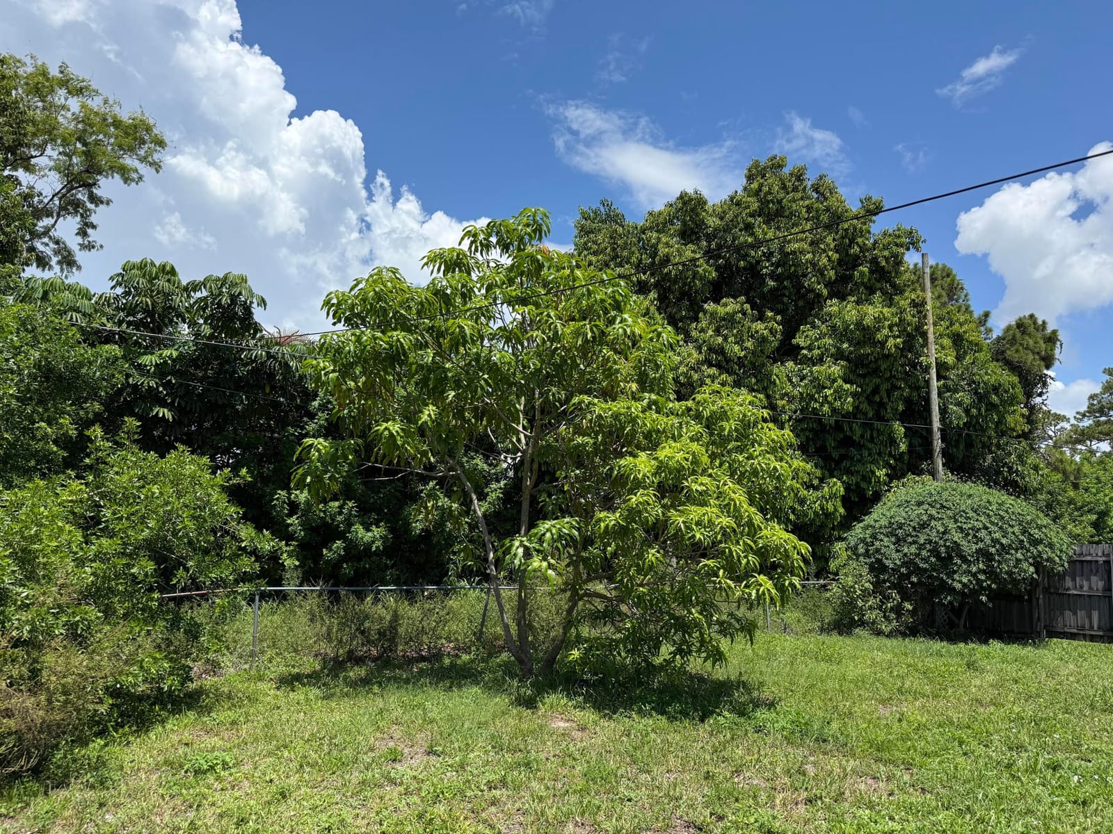 3825 Patio Court — photo 3