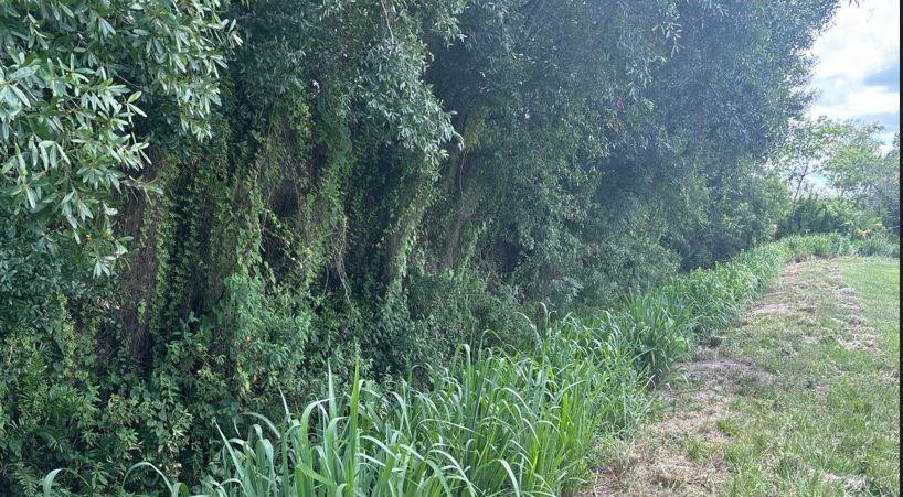 0 NE 13th Avenue, Okeechobee, FL 34972, Okeechobee