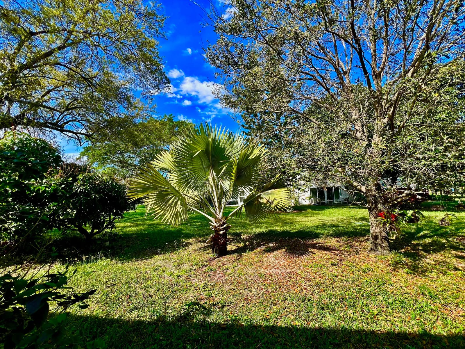 172 Tilford I, Deerfield Beach, FL 33442 photo 23