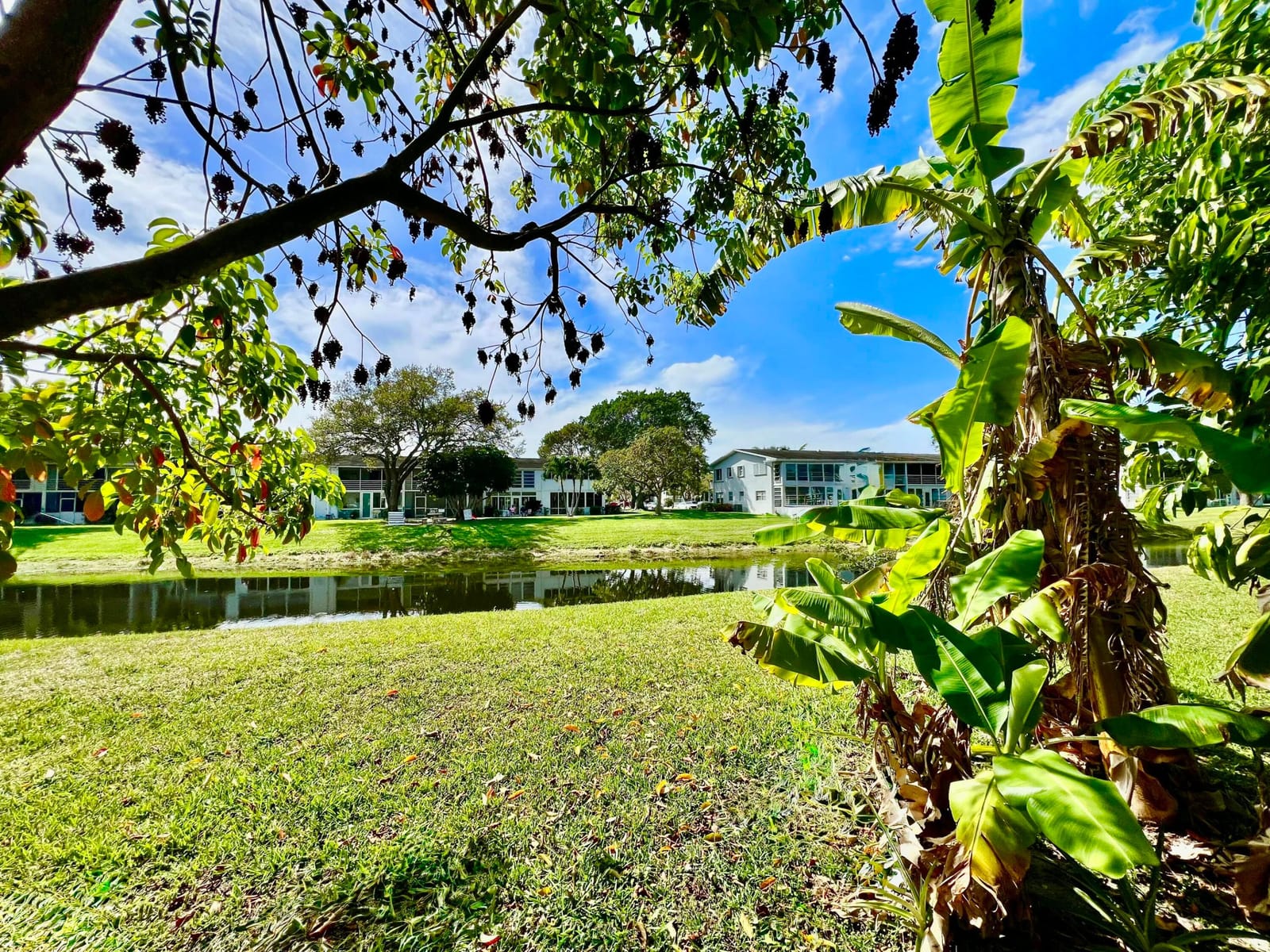 172 Tilford I, Deerfield Beach, FL 33442 photo 26