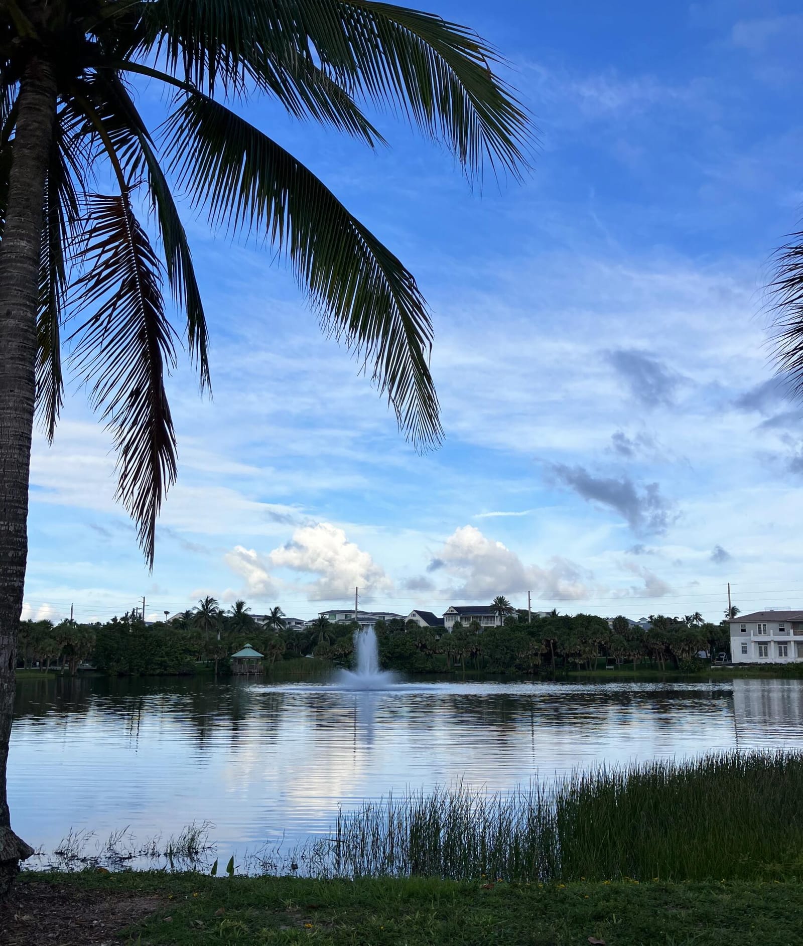 50 Celestial Way 207, Juno Beach, FL 33408 photo 29