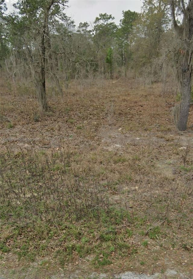 UNDETERMINED SW 130th Avenue, FL 34432