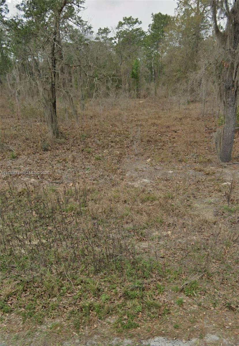 UNDETERMINED SW 130th Avenue, FL 34432, Dunnellon