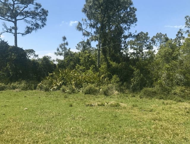 0 Holopaw Groves Road, St. Cloud, FL 34772