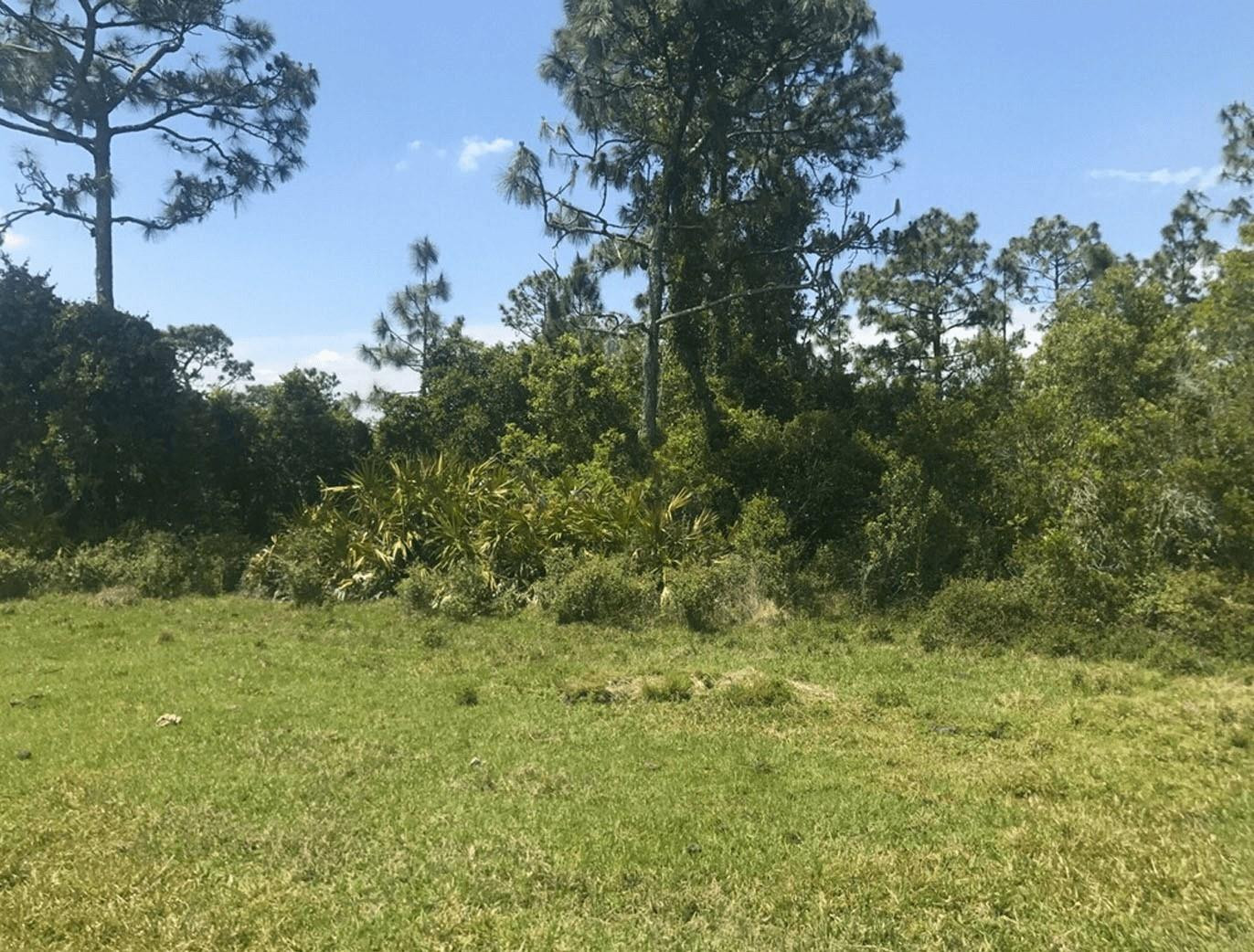 0 Holopaw Groves Road, St. Cloud, FL 34772, St Cloud