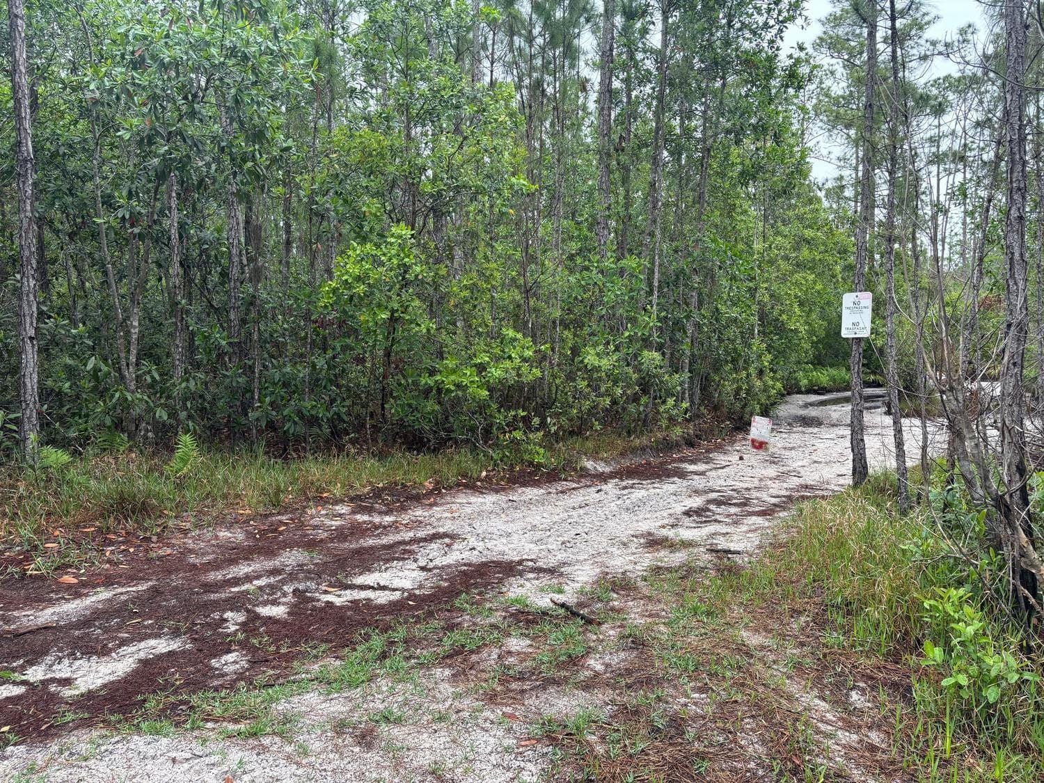 0 Holopaw Groves Road — photo 2