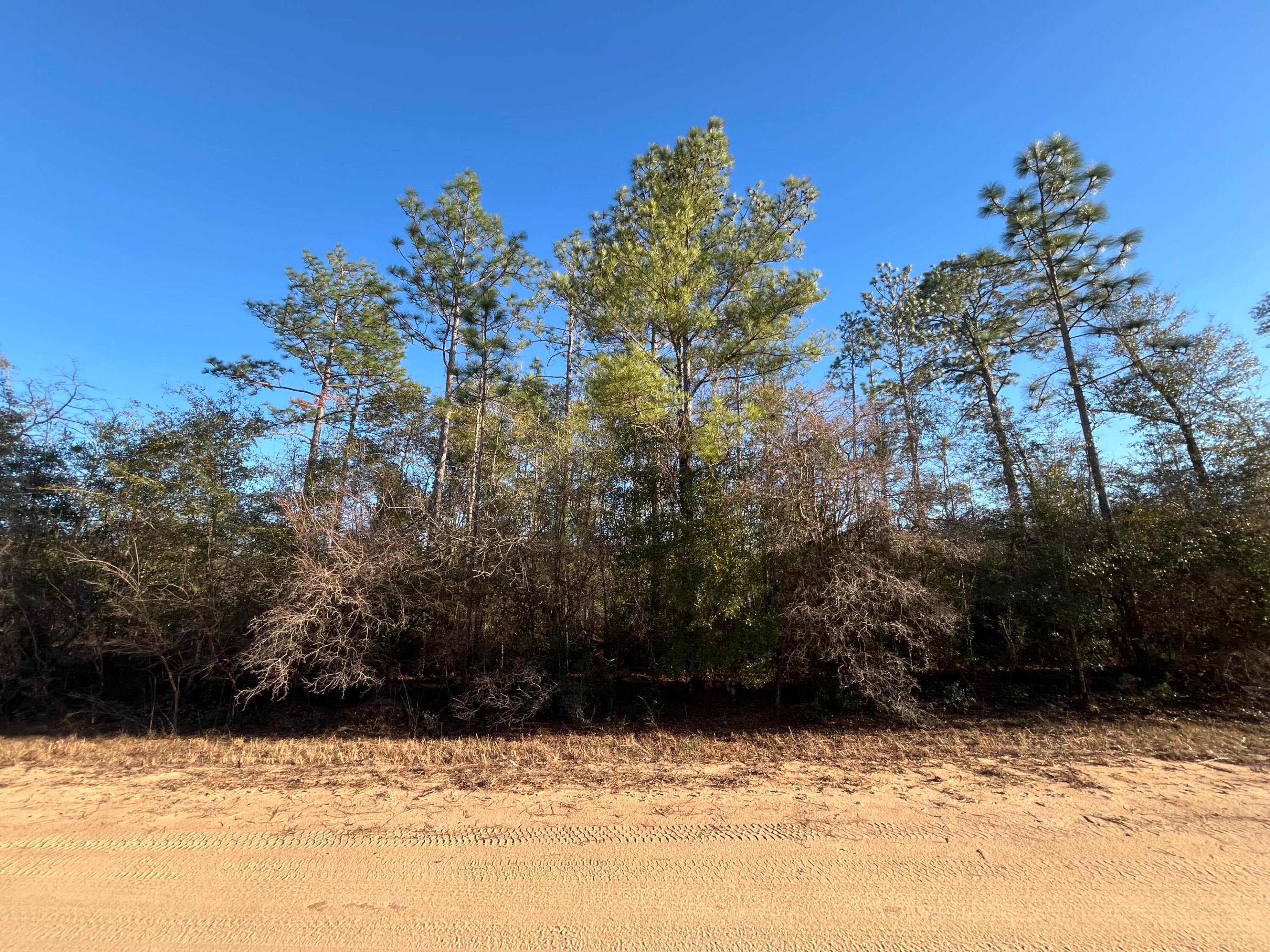 Tbd Goreville, Alford, FL 32420, Alford