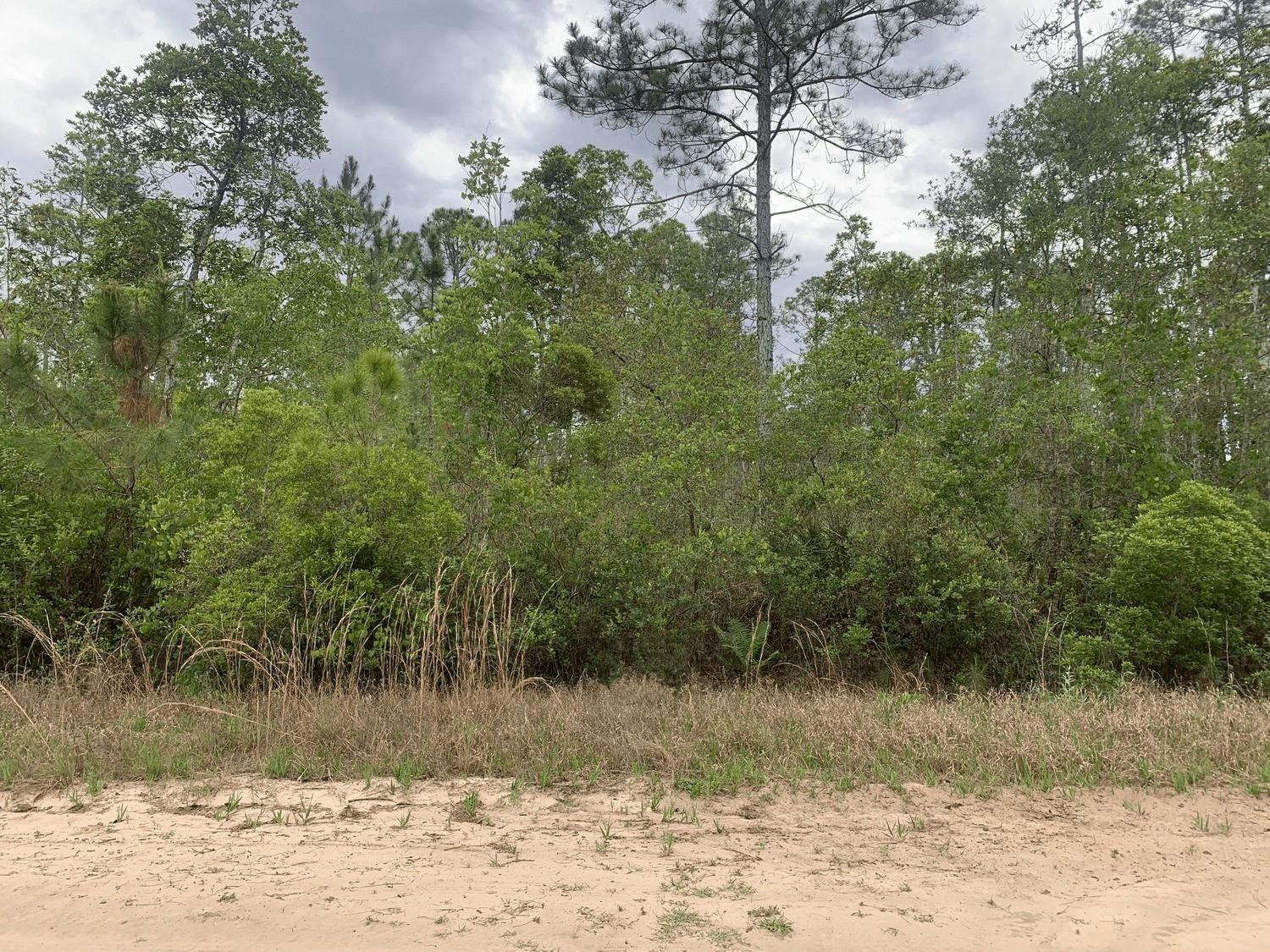 0 W Basford Street, Interlachen, FL 32148, Interlachen