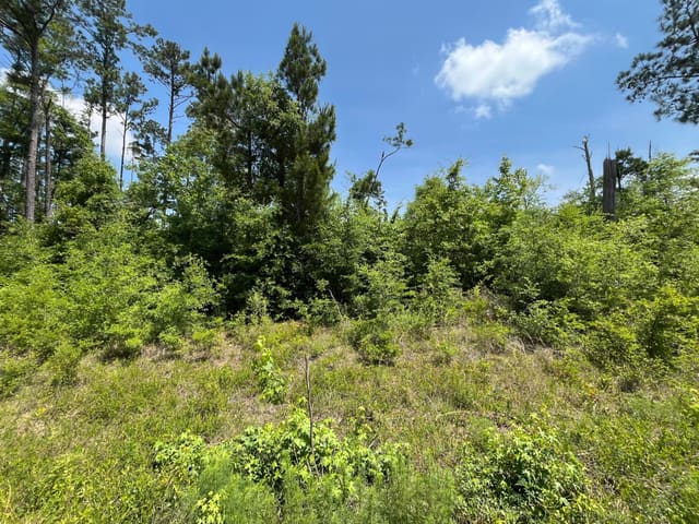Tbd Grand Quiviera Circle, Alford, FL 32420