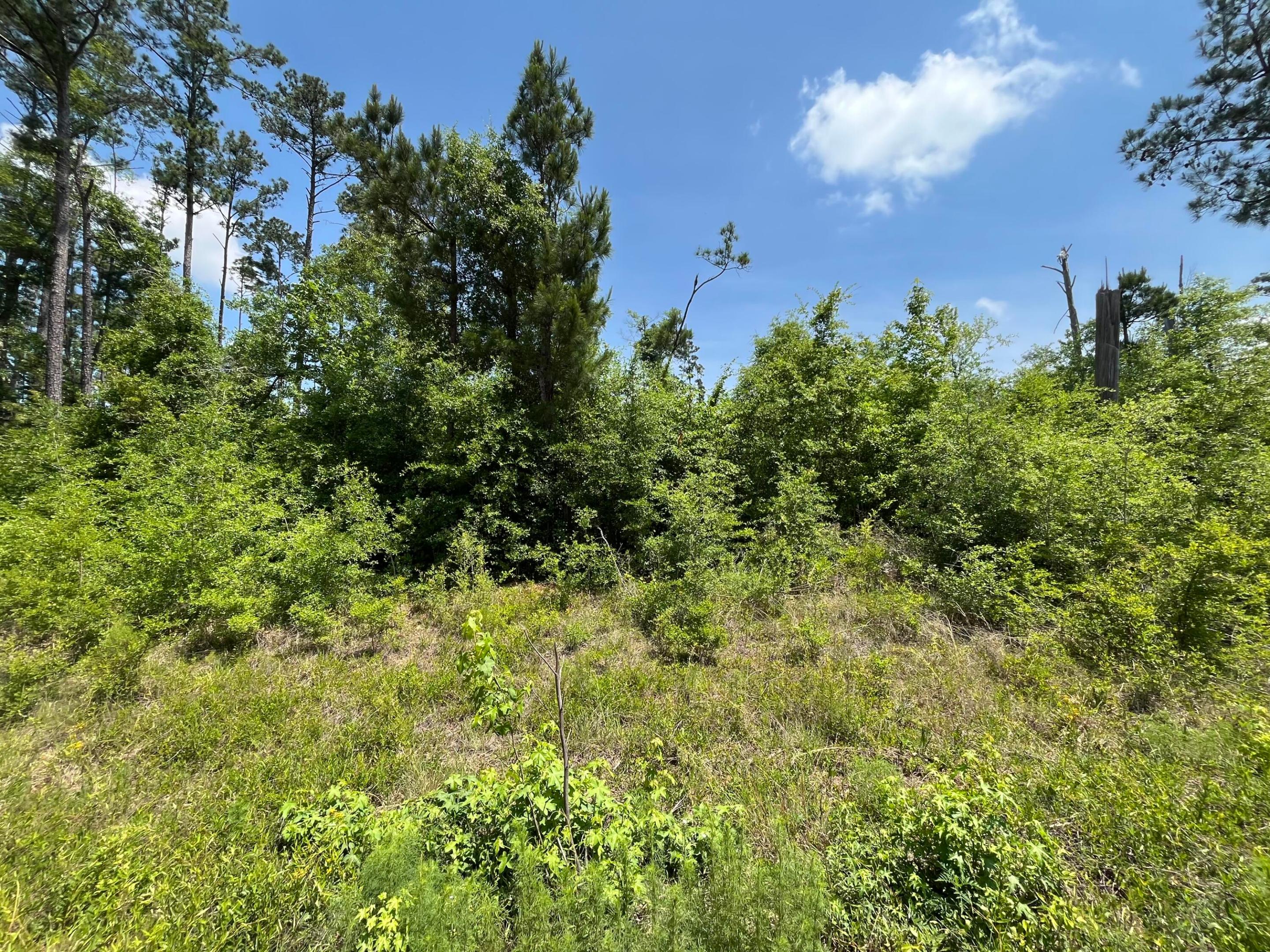 Tbd Grand Quiviera Circle, Alford, FL 32420, Alford