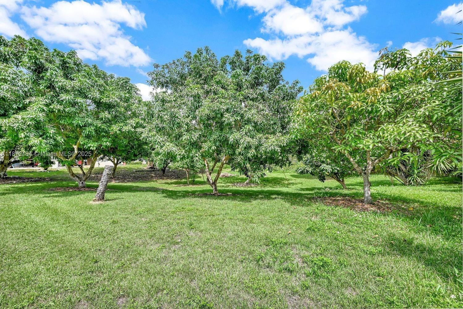 9340 SW 174th Street, Palmetto Bay, FL 33157 photo 29