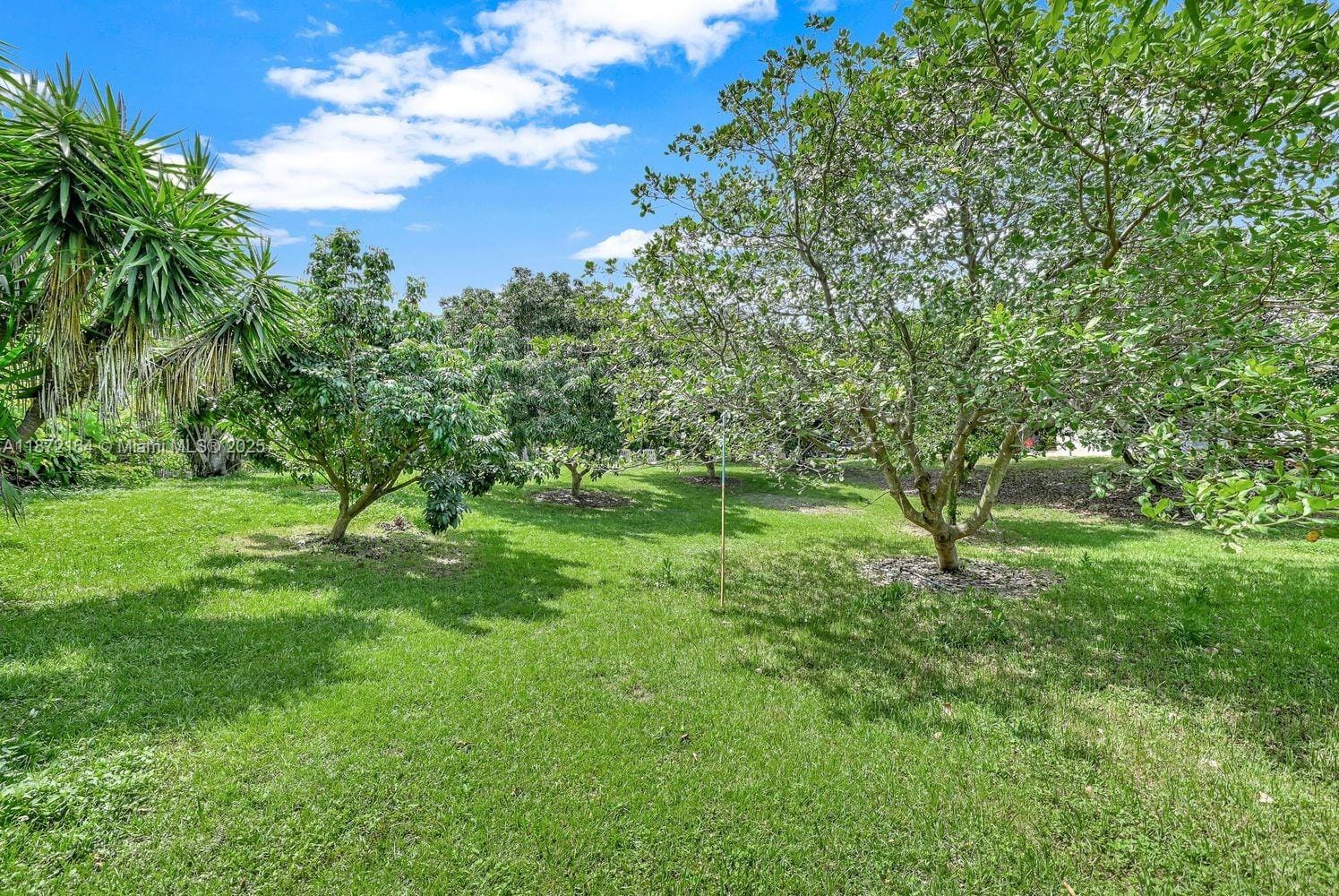 9340 SW 174th Street — photo 5