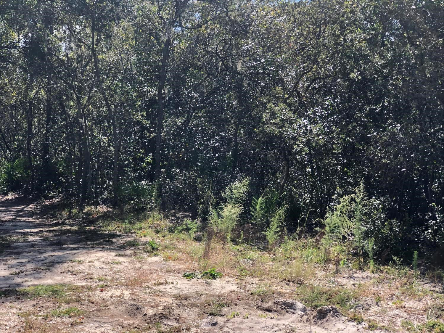 0 Maine Avenue, Interlachen, FL 32148, Interlachen