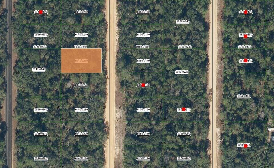 0 David Avenue, Interlachen, FL 32148 photo 2