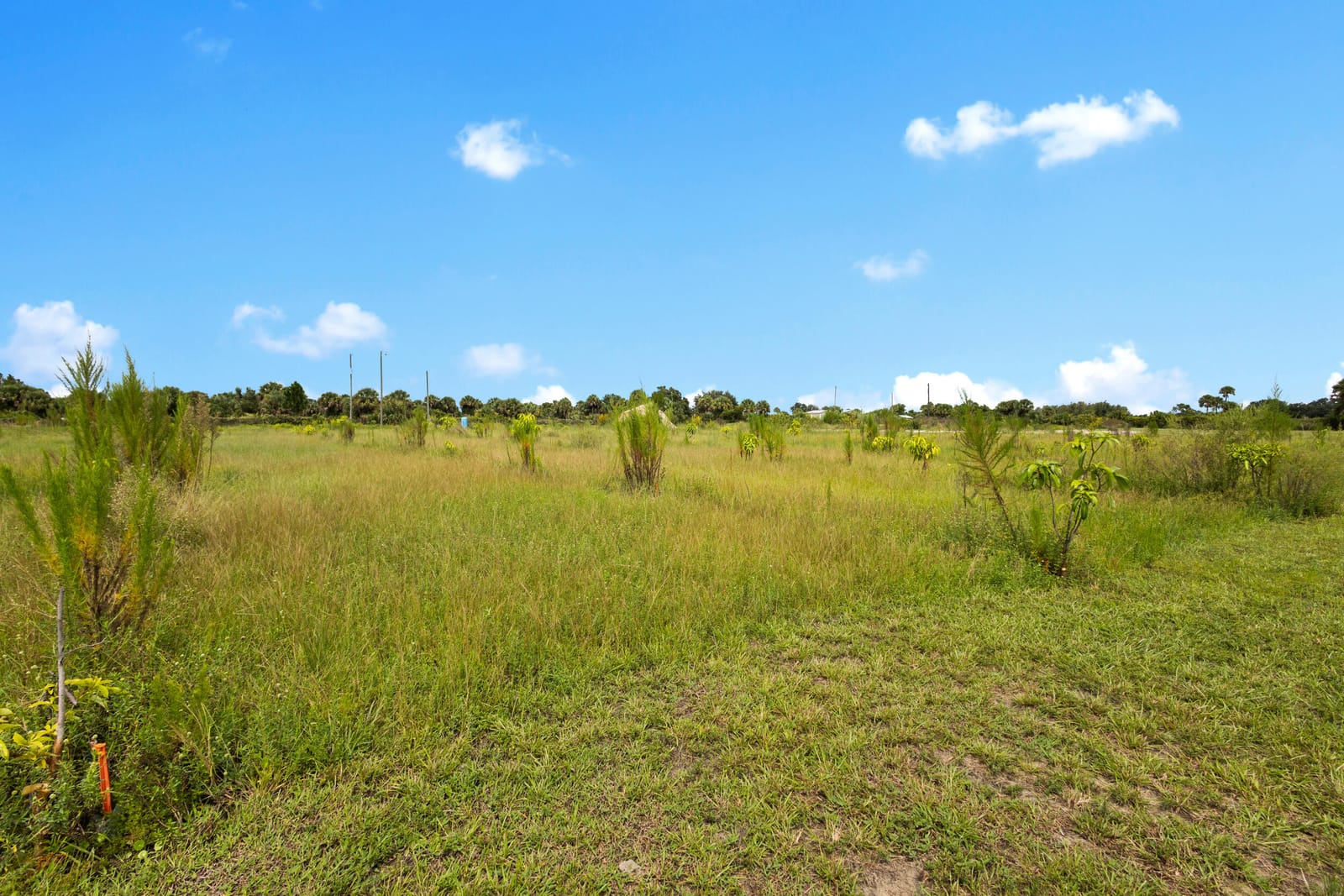 20914 NW 280th Street, Okeechobee, FL 34972 photo 11
