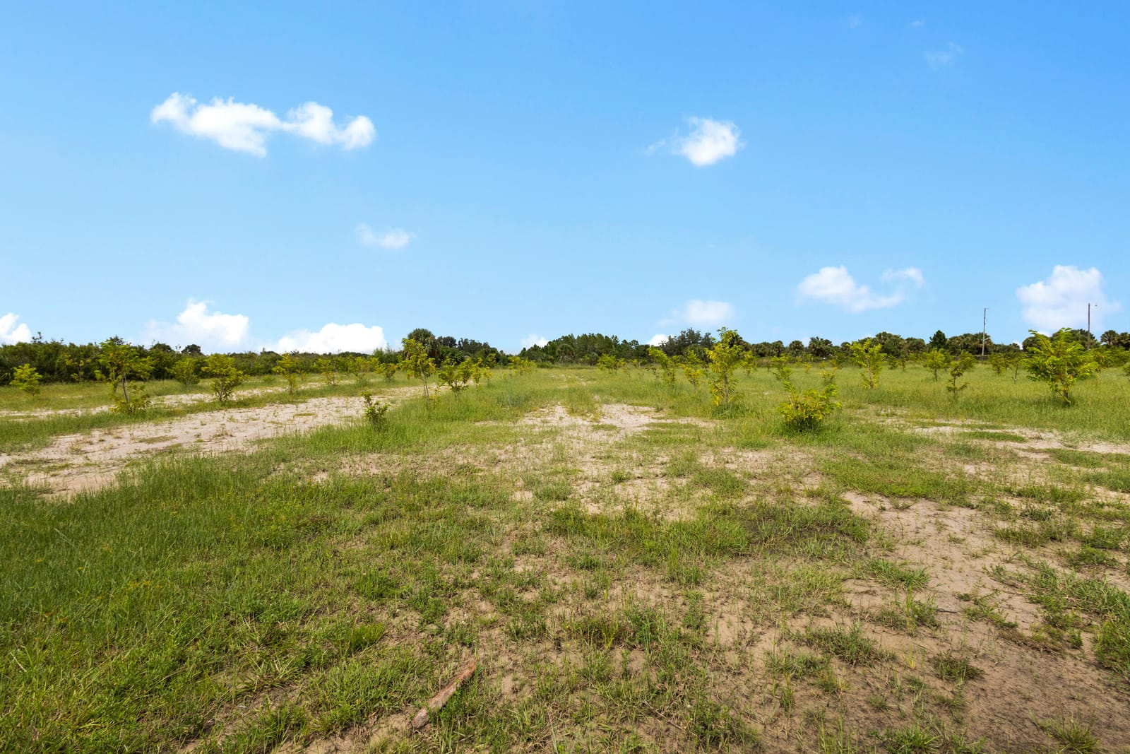 20914 NW 280th Street, Okeechobee, FL 34972 photo 15