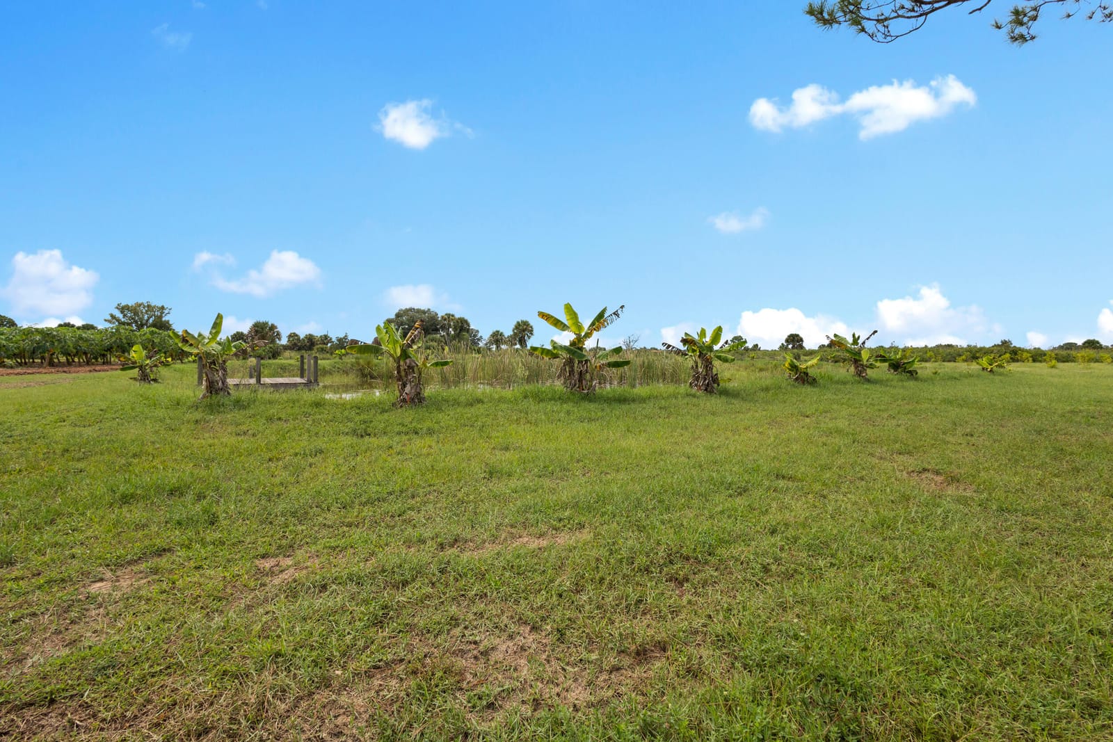 20914 NW 280th Street, Okeechobee, FL 34972 photo 19