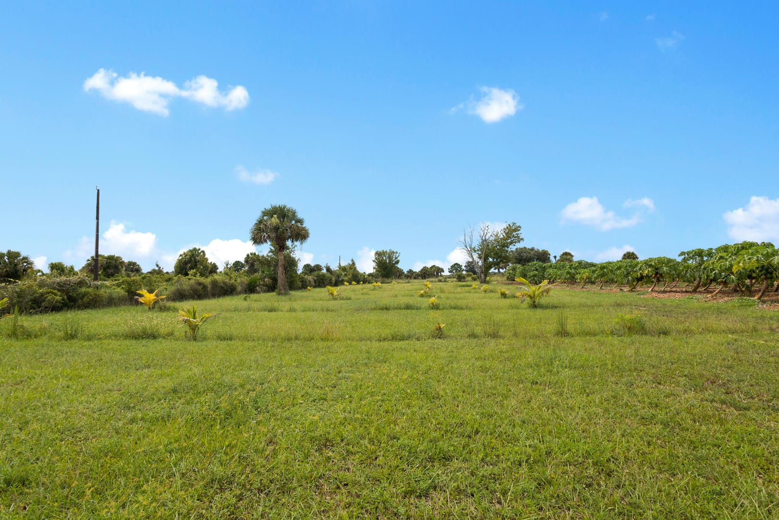20914 NW 280th Street, Okeechobee, FL 34972 photo 20