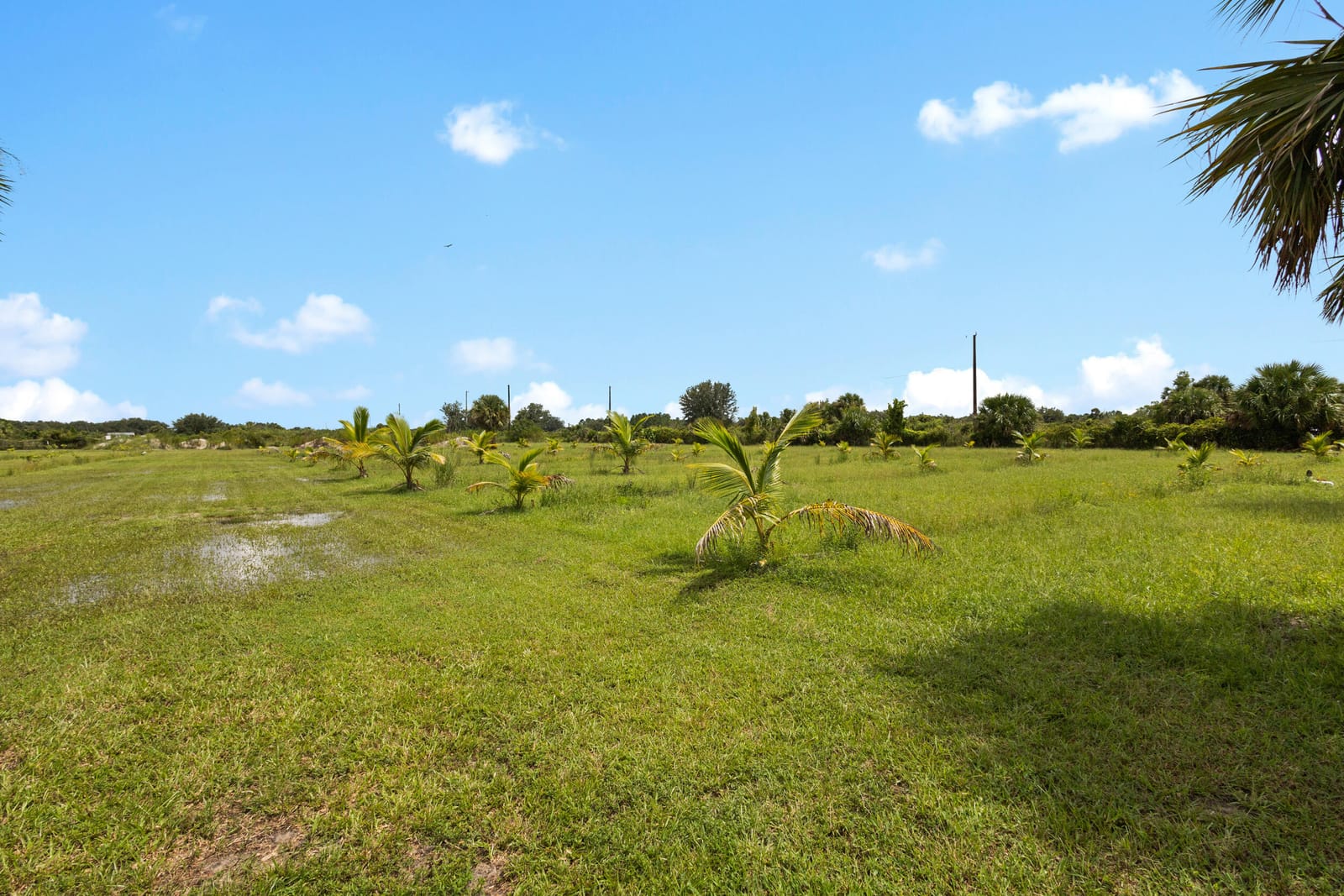 20914 NW 280th Street, Okeechobee, FL 34972 photo 24