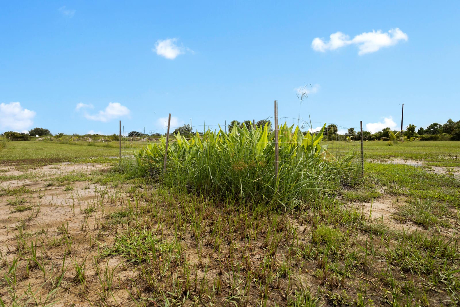 20914 NW 280th Street, Okeechobee, FL 34972 photo 9