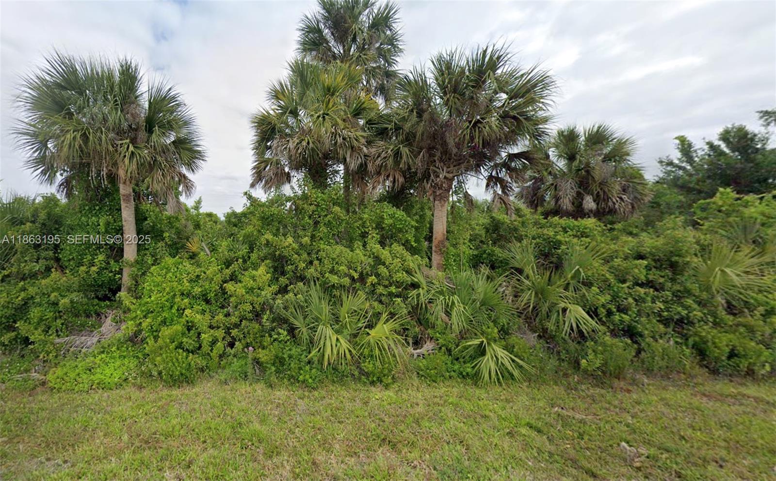 12199 Grouse Avenue, Port Charlotte, FL 33981, Port Charlotte