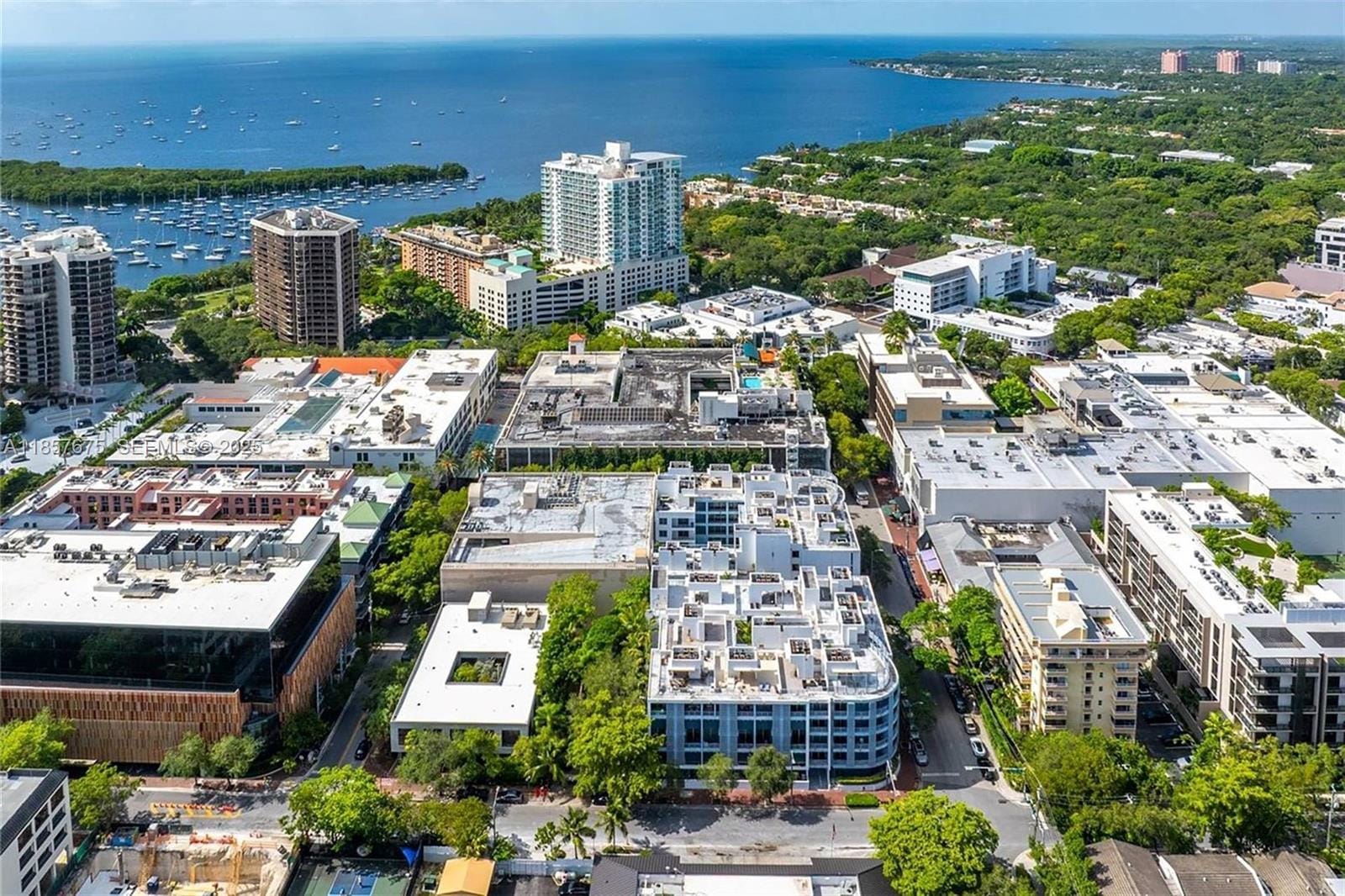 3339 Virginia Street 301, Miami, FL 33133 photo 2