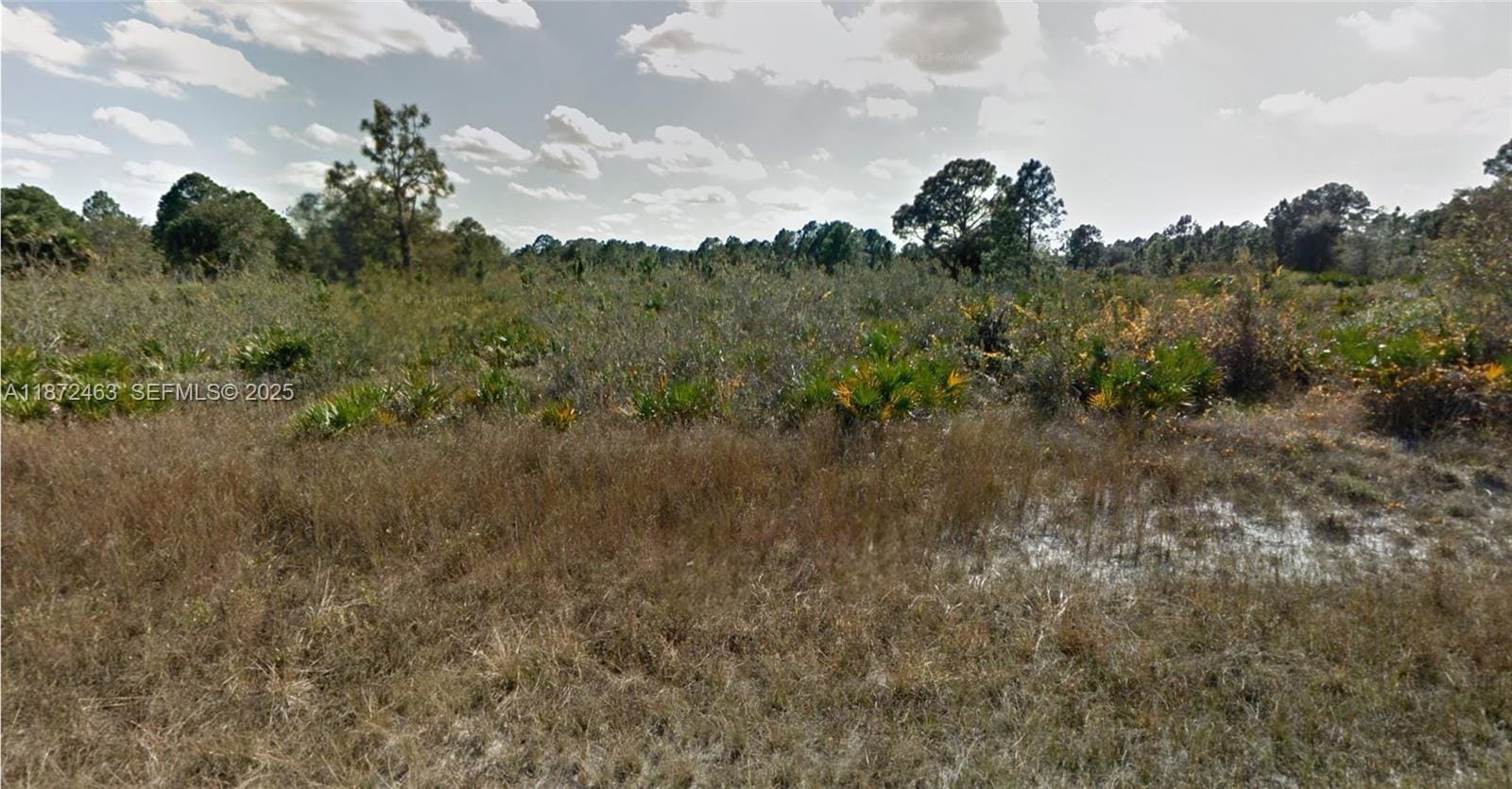 1132 Randan Street E, Lehigh Acres, FL 33974 photo 4