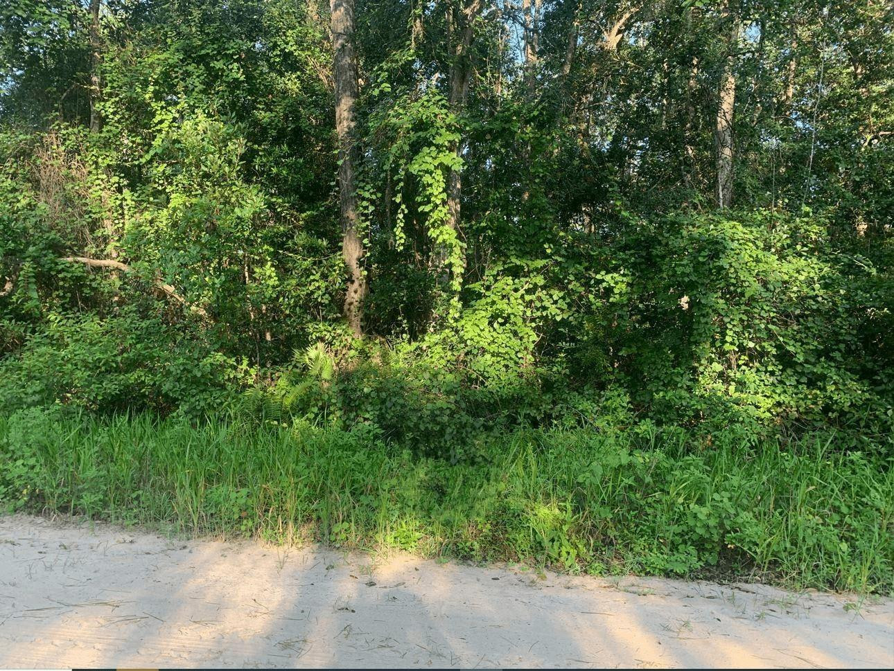 0 Ida Boulevard, Interlachen, FL 32148, Interlachen