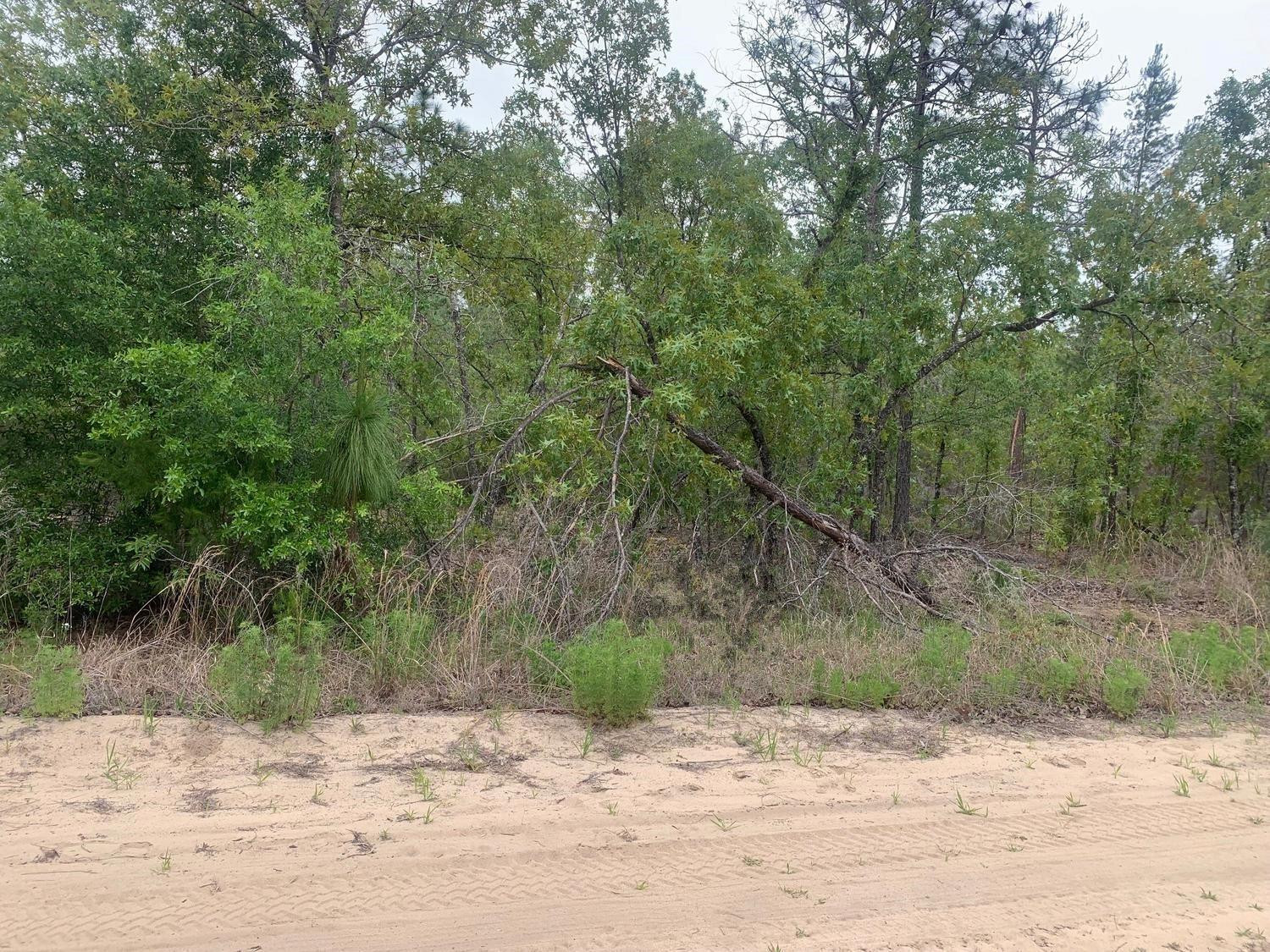 0 May Lane, Interlachen, FL 32148, Interlachen