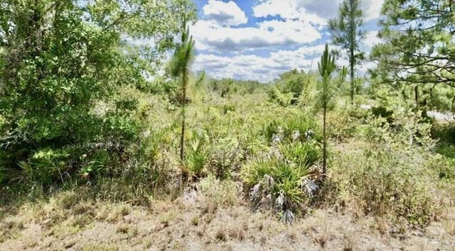 3362 Rhododendron Road, sold in Leisure Lakes, Lake Placid, FL