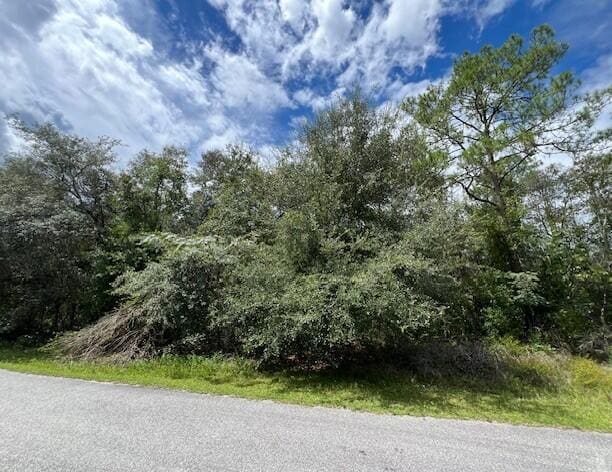 6252 N Cavalier Terrace, Citrus Springs, FL 34433