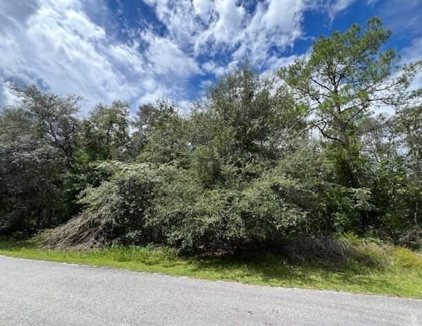 6252 N Cavalier Terrace, Citrus Springs, FL 34433, Citrus Springs