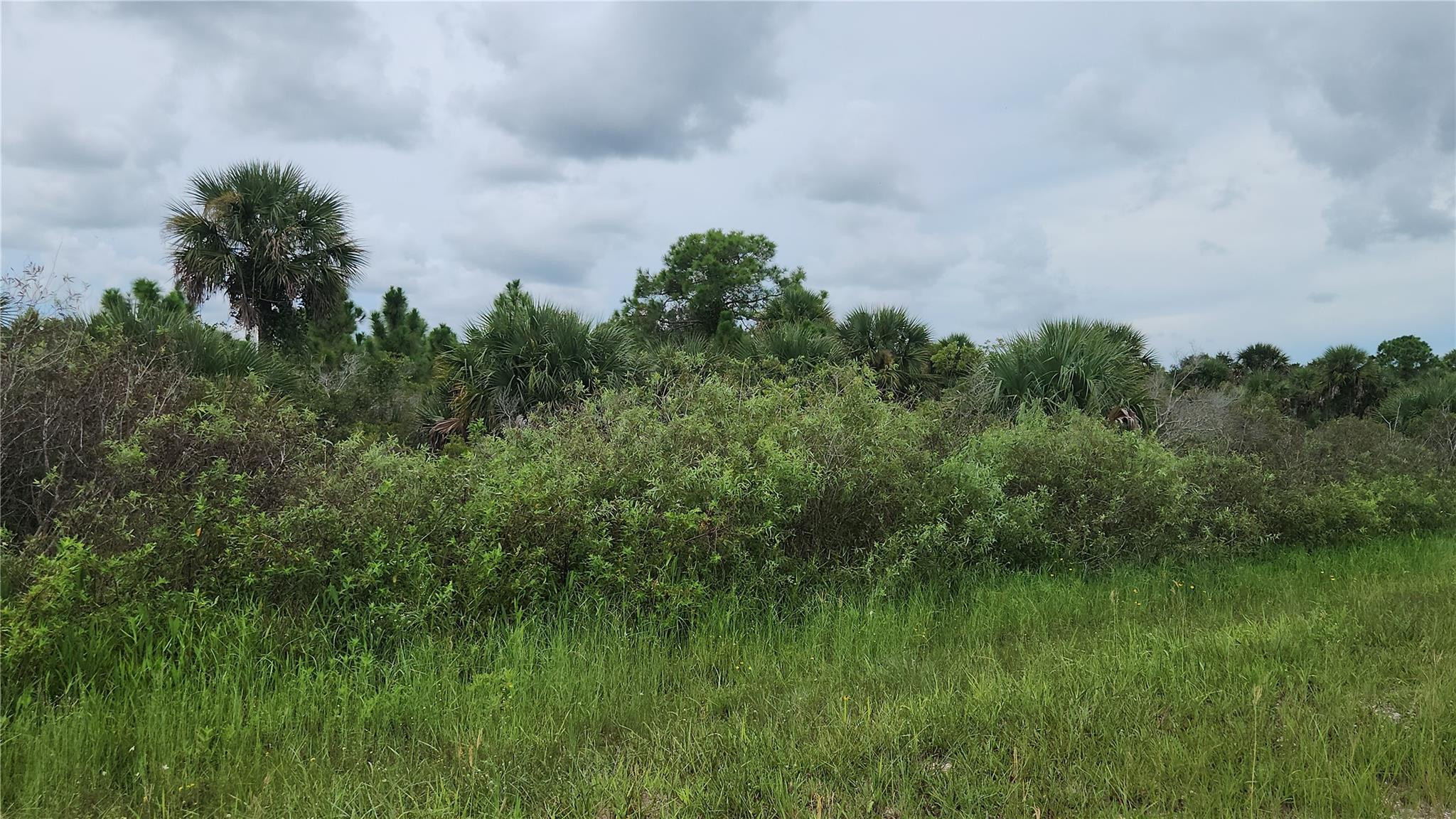 14988 NW 316th Street, Okeechobee, FL 34972, Okeechobee