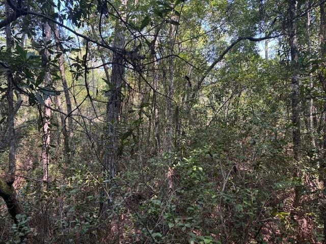224 SE 8th Avenue — photo 2