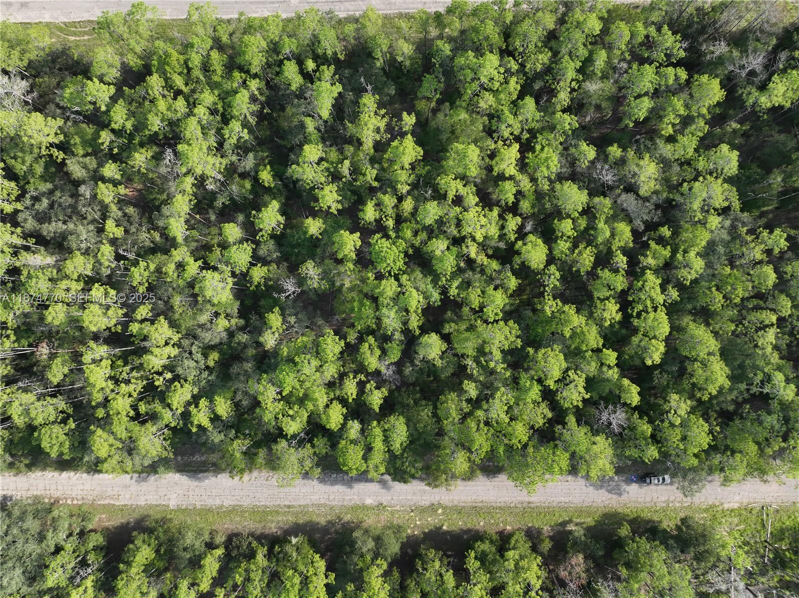 598 E Marquette Lane, FL 34434, Dunnellon