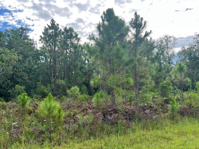 1131 Greenfield Street, Lake Placid, FL 33852, Lake Placid
