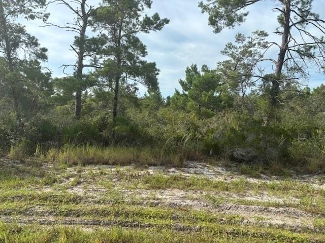 0 Cypress Street, Ile28 Interlachen Lakes Estates, Interlachen, FL